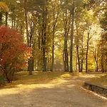 Bed & Breakfast Lesna Przystan