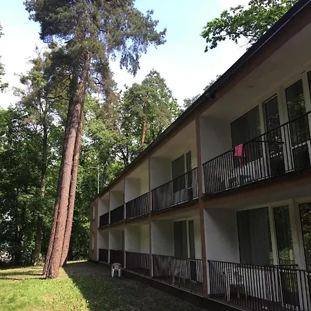 Lesna Przystan Nocleg ze śniadaniem