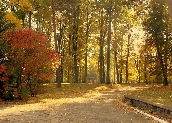 Bed & Breakfast Lesna Przystan