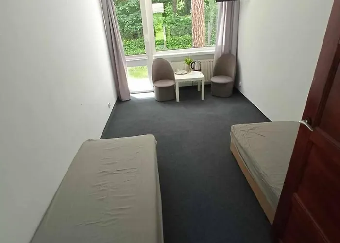 Bed & Breakfast Lesna Przystan Iława