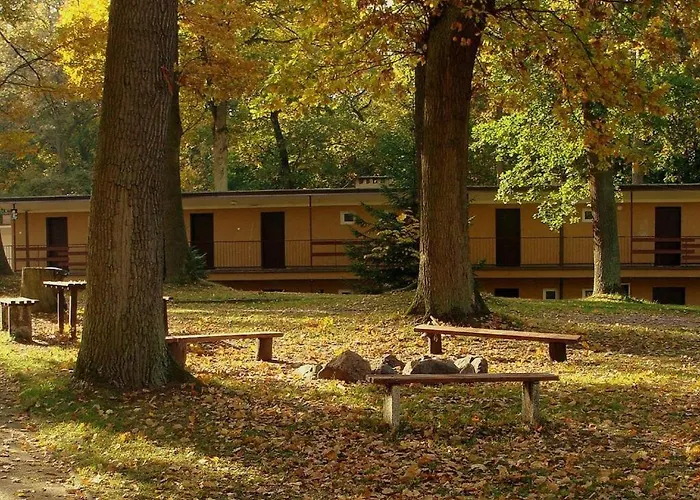 Bed & Breakfast Lesna Przystan Iława